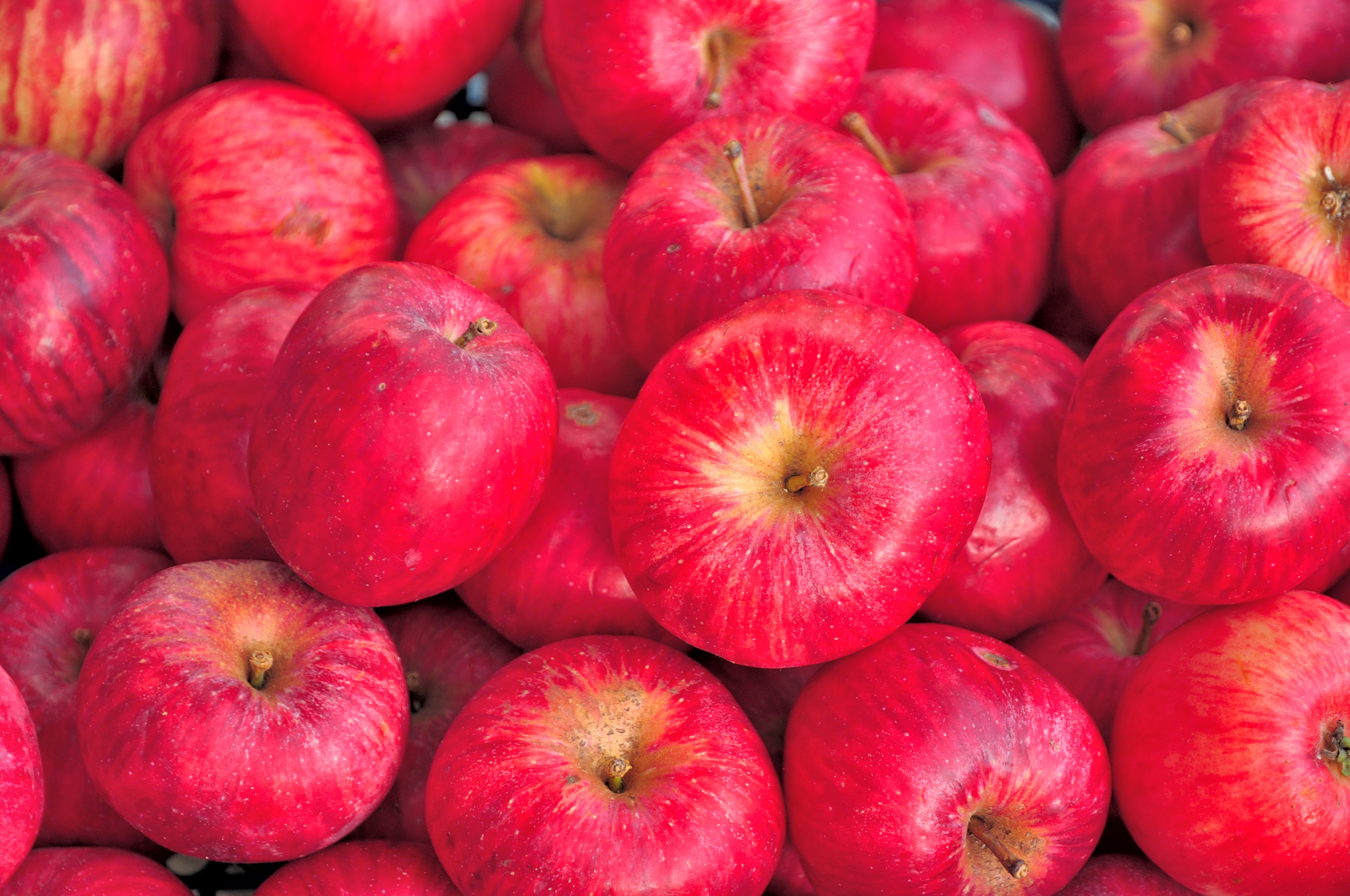 Pomoringo – Sortenreines Dörrobst